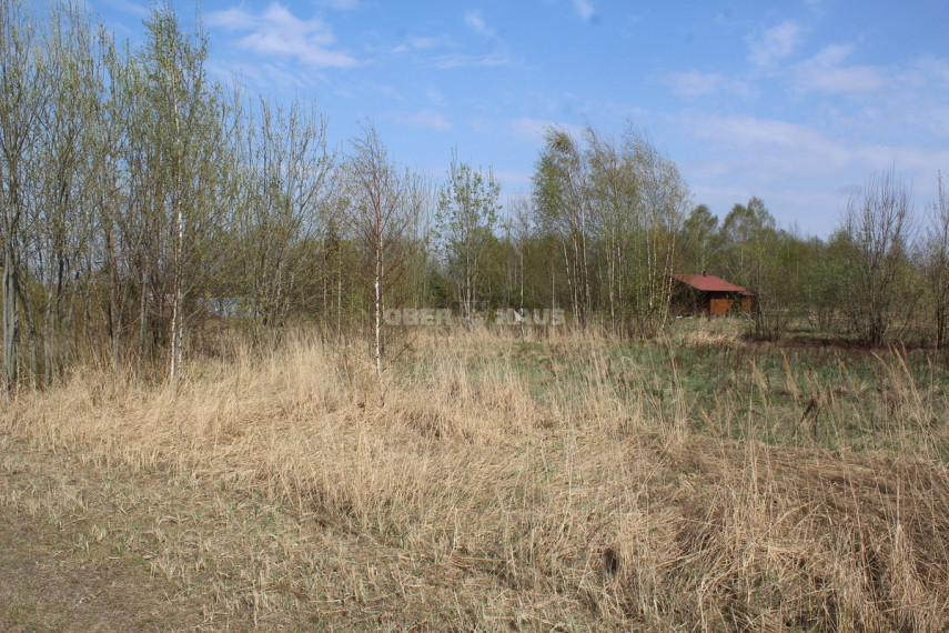 Parduodamas namų valdos paskirties sklypas Biliūnų g., Biliūnų k., Panevėžio r. sav., 29.78 a ploto 6