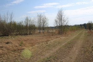 Parduodamas namų valdos paskirties sklypas Biliūnų g., Biliūnų k., Panevėžio r. sav., 29.78 a ploto 7