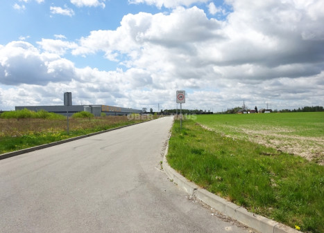 Parduodamas komercinės paskirties sklypas Pažalvaičių g., Pramonės, Panevėžio m., Panevėžio m. sav., 369.08 a ploto