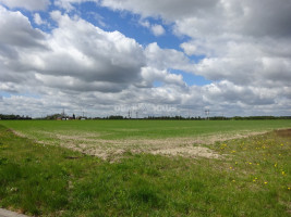 Parduodamas komercinės paskirties sklypas Pažalvaičių g., Pramonės, Panevėžio m., Panevėžio m. sav., 369.08 a ploto 6