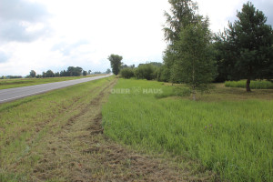 Parduodamas komercinės paskirties sklypas Senasis Vilniaus kel., Liūdynės k., Panevėžio r. sav., 38.26 a ploto 6