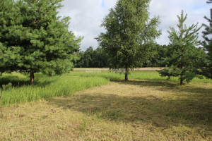 Parduodamas komercinės paskirties sklypas Senasis Vilniaus kel., Liūdynės k., Panevėžio r. sav., 38.26 a ploto 7