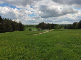 Parduodamas namų valdos paskirties sklypas Pakrantės g., Varnikų k., Trakų r. sav., 365 a ploto 3