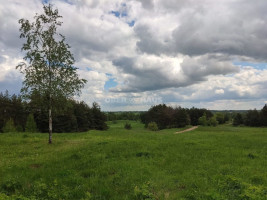 Parduodamas namų valdos paskirties sklypas Pakrantės g., Varnikų k., Trakų r. sav., 365 a ploto 16