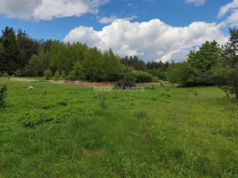 Parduodamas namų valdos paskirties sklypas Pakrantės g., Varnikų k., Trakų r. sav., 365 a ploto 18