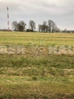 Parduodamas  sklypas Šilagalio g., Pažagienių k., Panevėžio r. sav., 110.96 a ploto 3