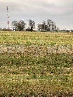 Parduodamas sklypas Šilagalio g., Pažagienių k., Panevėžio r. sav., 110.96 a ploto 3