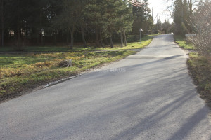 Parduodamas  sklypas Šilagalio g., Pažagienių k., Panevėžio r. sav., 110.96 a ploto 5