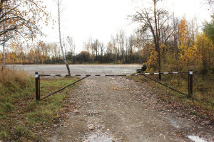 Parduodamas namų valdos paskirties sklypas Basliupio g., Pramonės, Panevėžio m., Panevėžio m. sav., 222.56 a ploto 5
