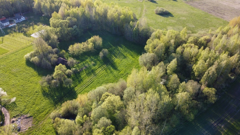 Parduodamas  sklypas Mažųjų Juodiškių k., Kaišiadorių r. sav., 591.23 a ploto 4