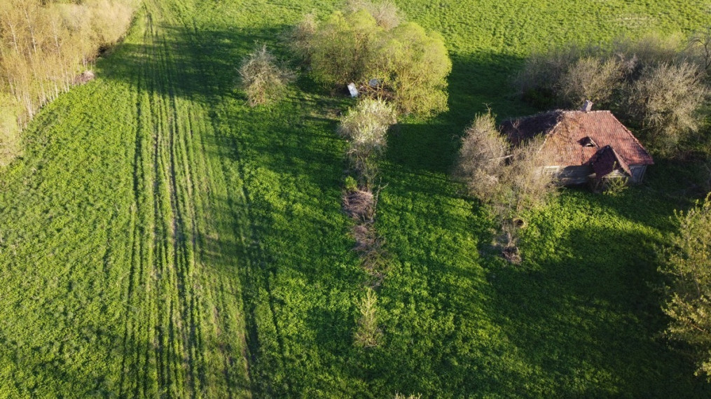 Parduodamas  sklypas Mažųjų Juodiškių k., Kaišiadorių r. sav., 591.23 a ploto 3