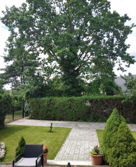Parduodamas butas Rasytės g., Giruliai, Klaipėdos m., Klaipėdos m. sav., 90.00 m² ploto 4 kambariai 5