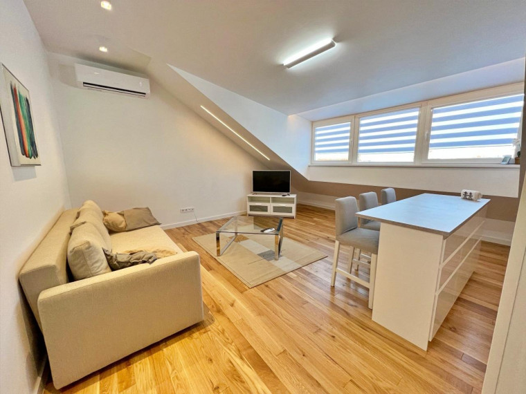 Trumpalaikė buto nuoma Nemuno g., Senamiestis, Kauno m., Kauno m. sav., 55.00 m² ploto 2 kambariai 3