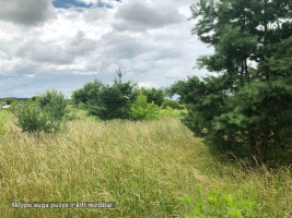 Parduodamas  sklypas Dvarlaukio g., Neravų k., Druskininkų sav., 32.35 a ploto 9