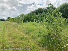 Parduodamas  sklypas Dvarlaukio g., Neravų k., Druskininkų sav., 32.35 a ploto 10