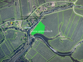 Parduodamas žemės ūkio paskirties sklypas Vorusnės k., Šilutės r. sav., 166 a ploto 1