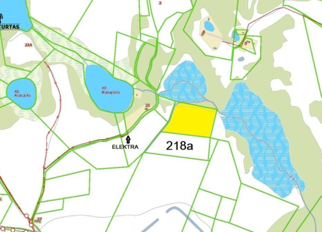 Parduodamas  sklypas Limino g., Murališkių k., Molėtų r. sav., 218 a ploto