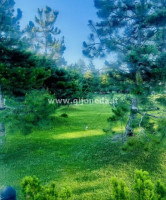 Parduodamas namas Grabių k., Klaipėdos r. sav., 160 m2 ploto, 2 aukštai 8