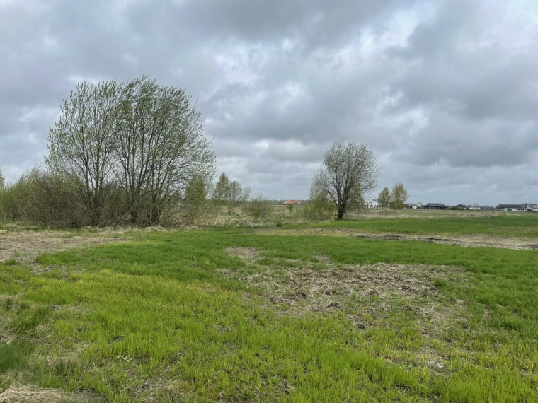 Parduodamas žemės ūkio paskirties sklypas Lelių k., Klaipėdos r. sav., 500 a ploto 5