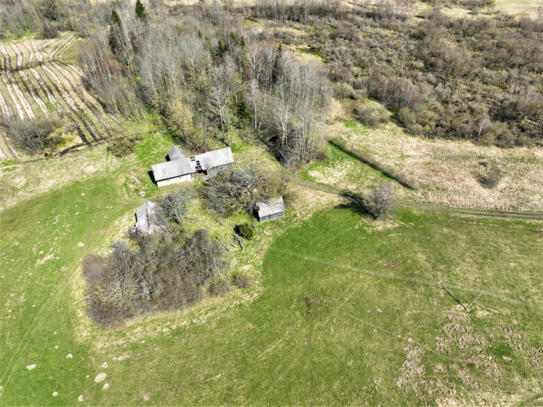 Parduodamas kitos paskirties sklypas Stagintrakio k., Kelmės r. sav., 324 a ploto 7