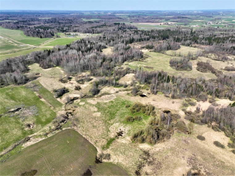 Parduodamas  sklypas Drupstų k., Kelmės r. sav., 482 a ploto 1