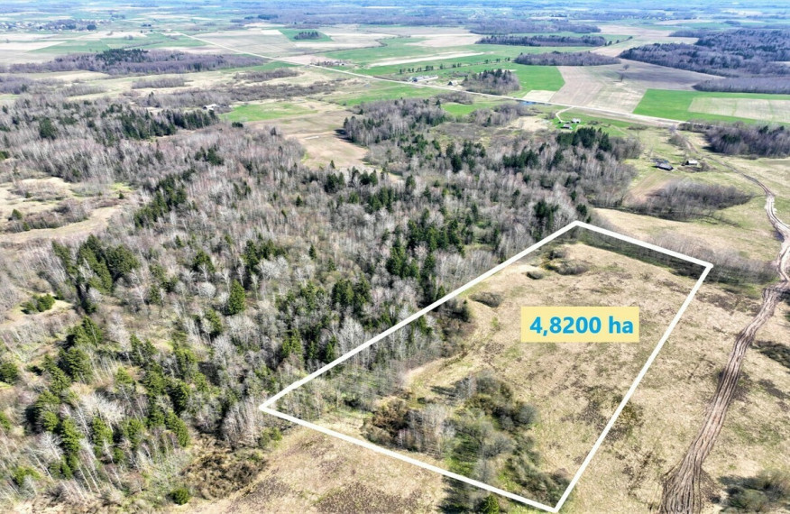 Parduodamas  sklypas Drupstų k., Kelmės r. sav., 482 a ploto 2