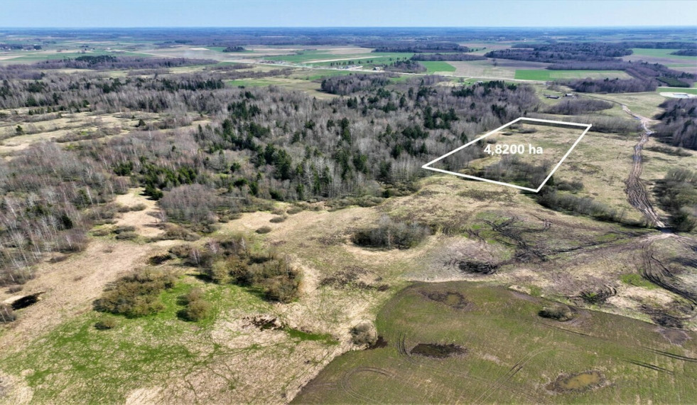 Parduodamas  sklypas Drupstų k., Kelmės r. sav., 482 a ploto 3
