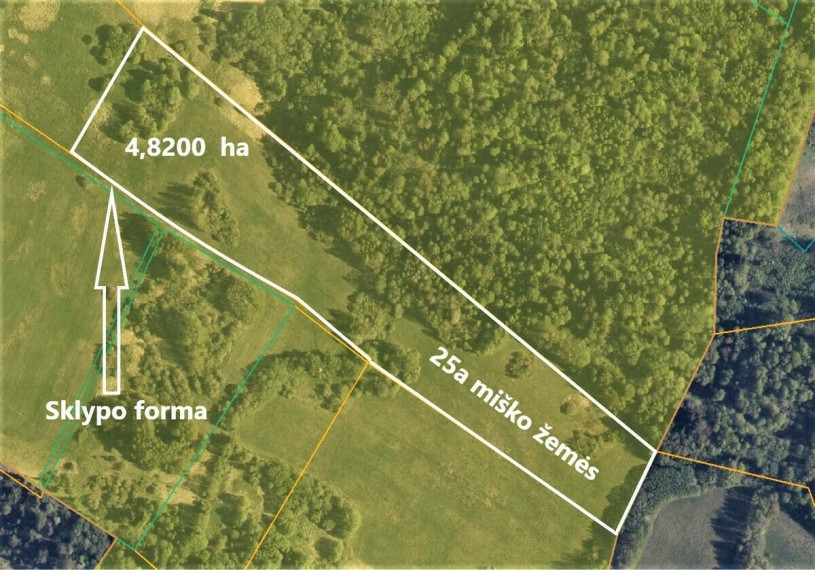 Parduodamas  sklypas Drupstų k., Kelmės r. sav., 482 a ploto 4