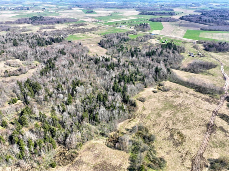 Parduodamas  sklypas Drupstų k., Kelmės r. sav., 482 a ploto 6