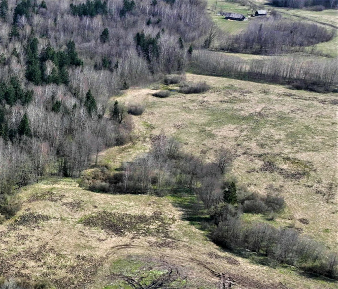Parduodamas  sklypas Drupstų k., Kelmės r. sav., 482 a ploto 8