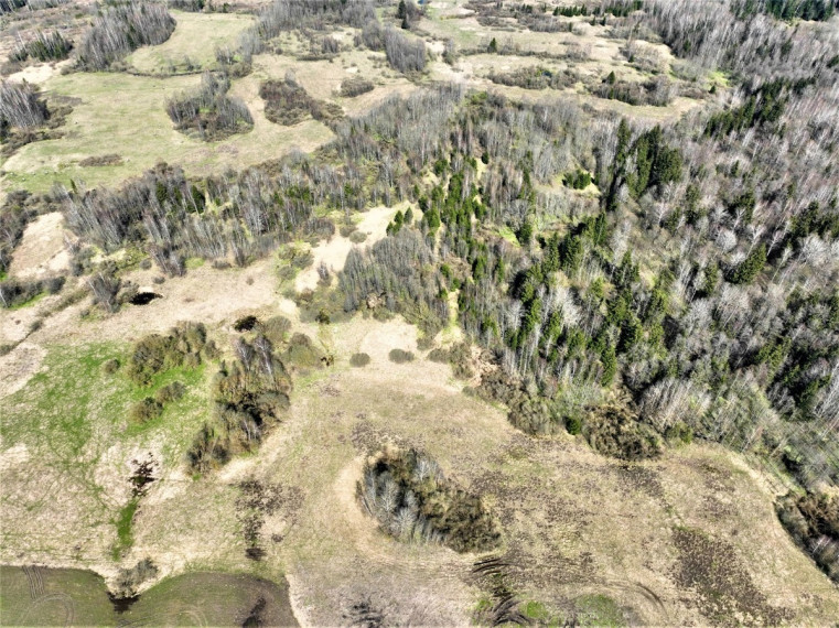 Parduodamas  sklypas Drupstų k., Kelmės r. sav., 482 a ploto 9