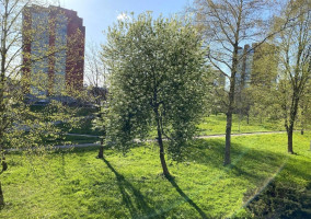 Parduodamas butas Naujakiemio g., Naujakiemis, Klaipėdos m., Klaipėdos m. sav., 34 m² ploto 1 kambarys 11
