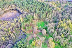 Parduodamas  sklypas Stripeikių k., Ignalinos r. sav., 710 a ploto 6
