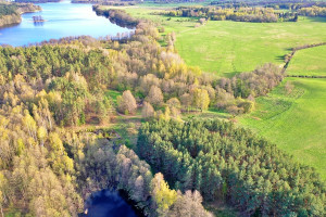 Parduodamas  sklypas Stripeikių k., Ignalinos r. sav., 710 a ploto 11