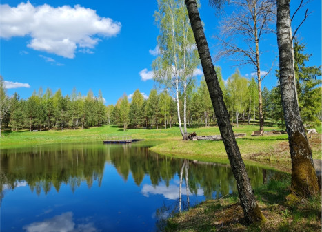 Parduodamas  sklypas Luokesos, Alksniškių k., Molėtų r. sav., 18.51 a ploto