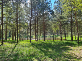 Parduodamas  sklypas Luokesos, Alksniškių k., Molėtų r. sav., 18.51 a ploto 7
