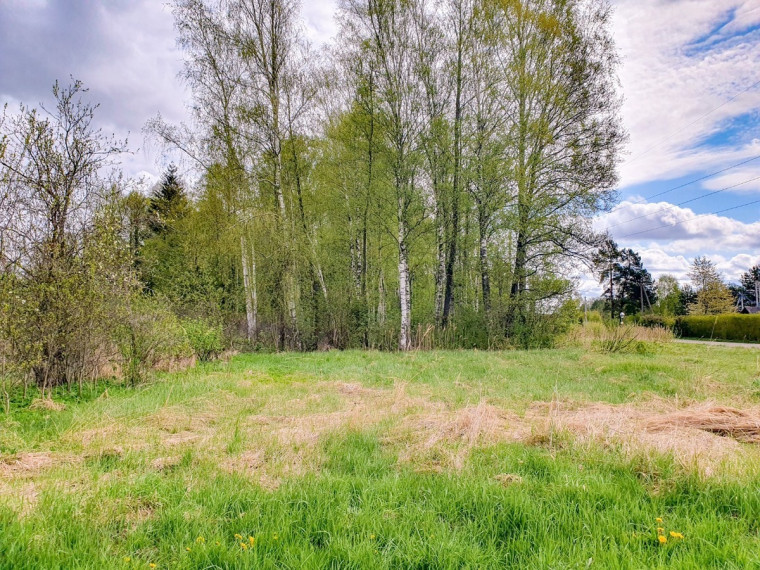 Parduodamas kitos paskirties sklypas Startų, Startų k., Panevėžio r. sav., 11.96 a ploto 2