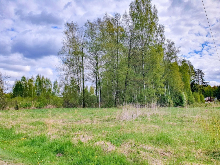 Parduodamas kitos paskirties sklypas Startų, Startų k., Panevėžio r. sav., 11.96 a ploto 4