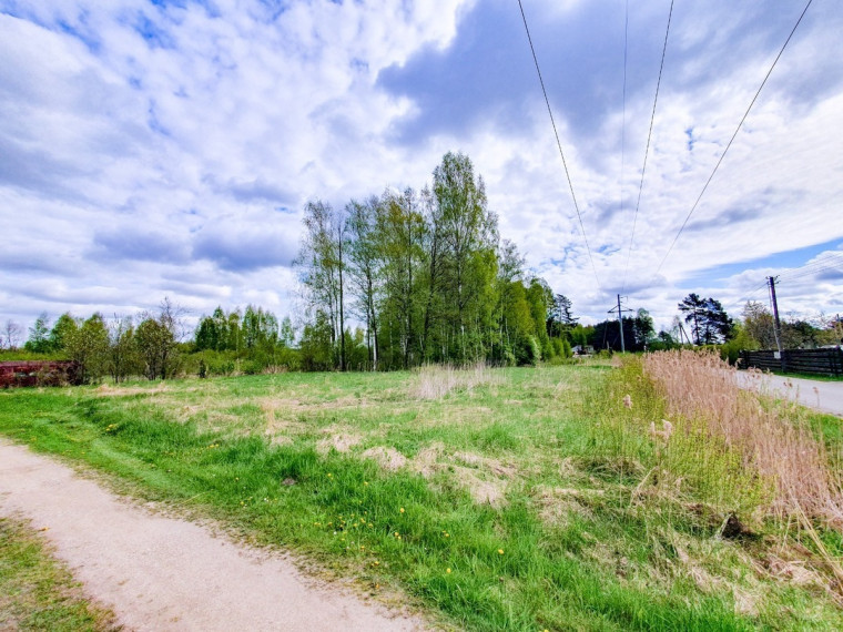 Parduodamas kitos paskirties sklypas Startų, Startų k., Panevėžio r. sav., 11.96 a ploto 5