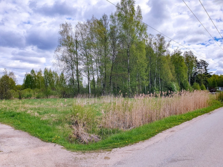 Parduodamas kitos paskirties sklypas Startų, Startų k., Panevėžio r. sav., 11.96 a ploto 6