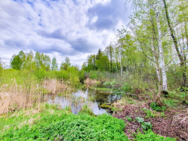 Parduodamas kitos paskirties sklypas Startų, Startų k., Panevėžio r. sav., 11.96 a ploto 9