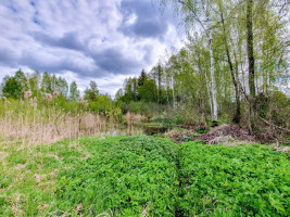 Parduodamas kitos paskirties sklypas Startų, Startų k., Panevėžio r. sav., 11.96 a ploto 10