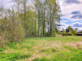 Parduodamas kitos paskirties sklypas Startų, Startų k., Panevėžio r. sav., 11.96 a ploto 12