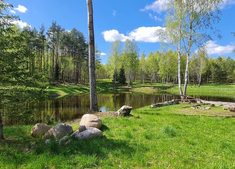 Parduodamas namų valdos paskirties sklypas Luokesos, Alksniškių k., Molėtų r. sav., 69.29 a ploto