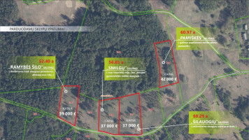 Parduodamas namų valdos paskirties sklypas Luokesos, Alksniškių k., Molėtų r. sav., 69.29 a ploto 6