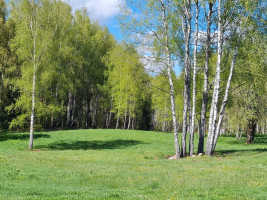 Parduodamas namų valdos paskirties sklypas Luokesos, Alksniškių k., Molėtų r. sav., 69.29 a ploto 11
