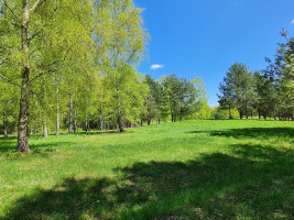 Parduodamas namų valdos paskirties sklypas Luokesos, Alksniškių k., Molėtų r. sav., 69.29 a ploto 12