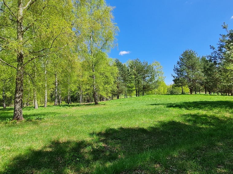 Parduodamas namų valdos paskirties sklypas Luokesos, Alksniškių k., Molėtų r. sav., 69.29 a ploto 12