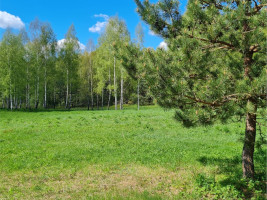 Parduodamas namų valdos paskirties sklypas Luokesos, Alksniškių k., Molėtų r. sav., 69.29 a ploto 13