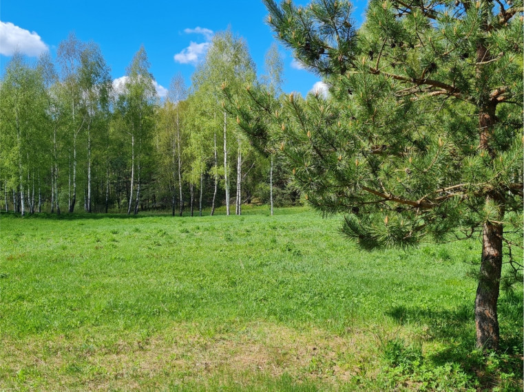 Parduodamas namų valdos paskirties sklypas Luokesos, Alksniškių k., Molėtų r. sav., 69.29 a ploto 13